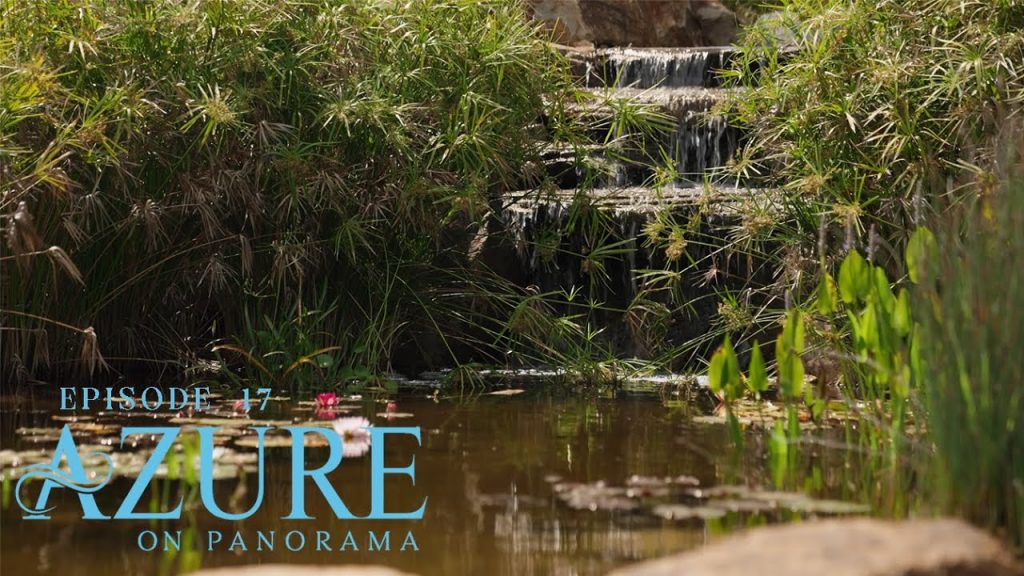 Azure on Panorama | Episode Seventeen